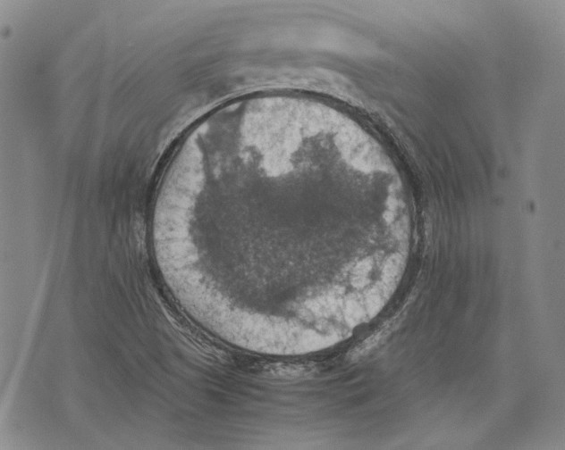 X0000075811505200610151417