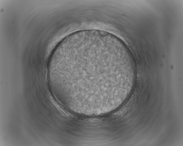 X0000075811507200610151417