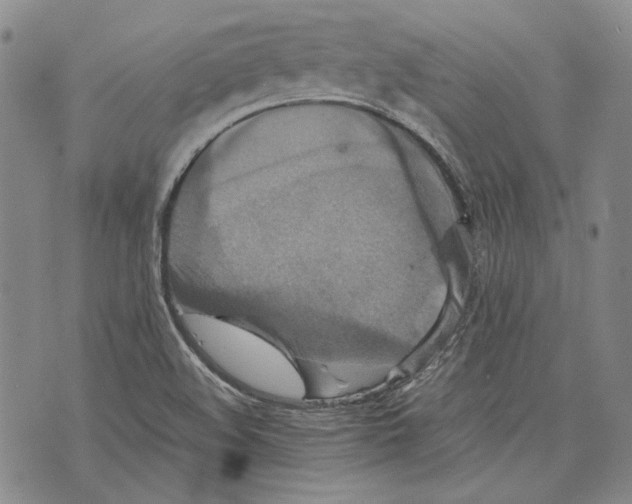 X0000075811508200610151417