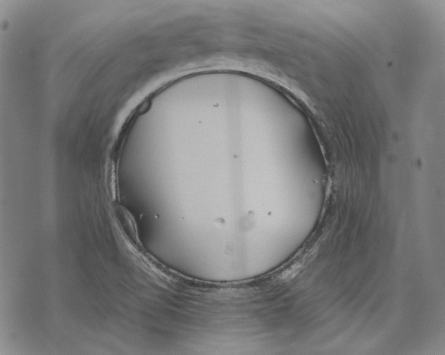 X0000075811510200610151417