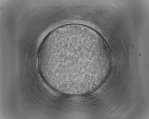 X0000075811511200610151417