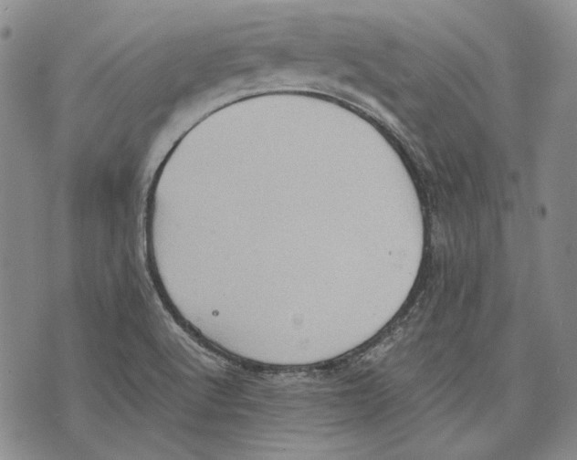 X0000075811512200610151417