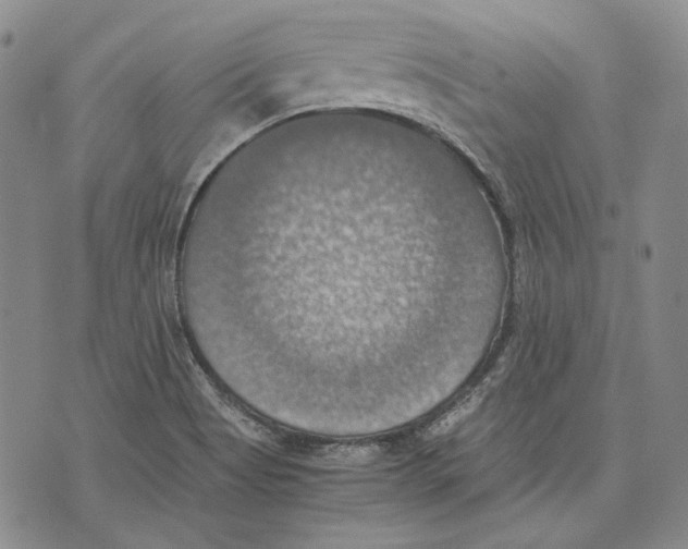 X0000075811513200610151417