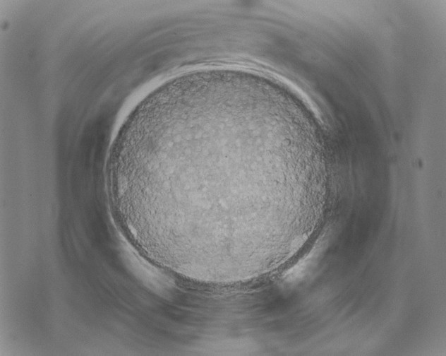 X0000075811514200610151417