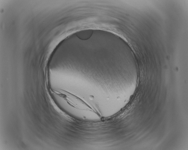 X0000075811515200610151417