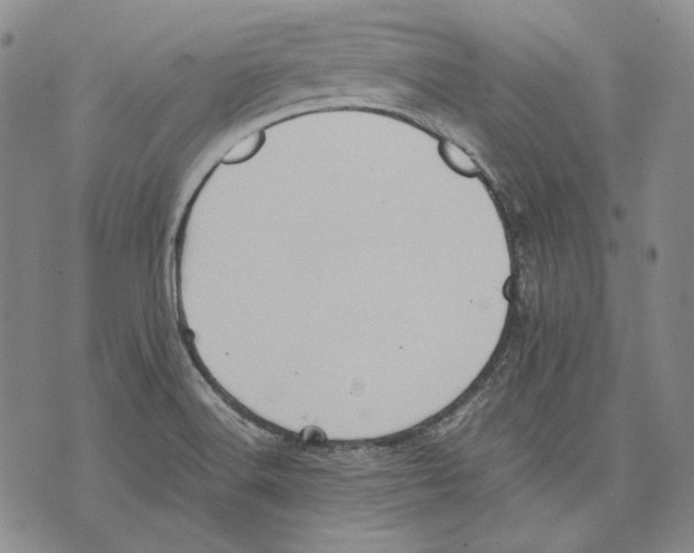 X0000075811516200610151417