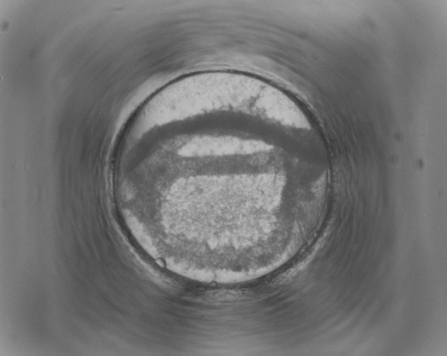 X0000075811517200610151417