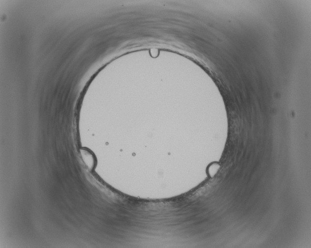 X0000075811518200610151417