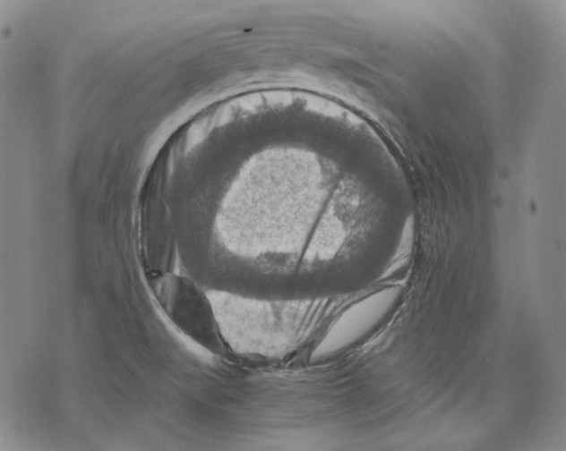 X0000075811519200610151417