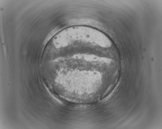 X0000075811521200610151417