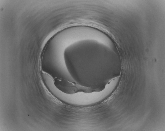 X0000075811522200610151417