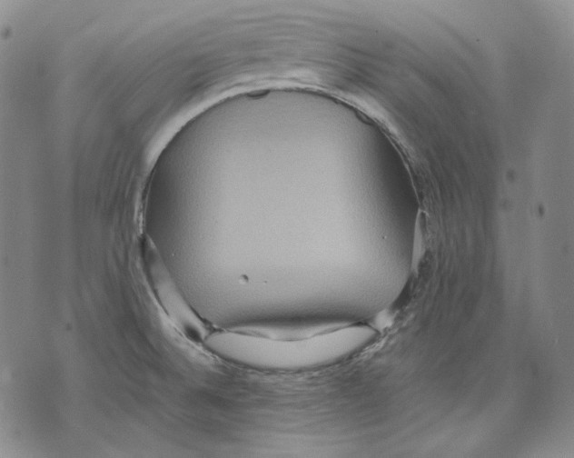 X0000075811524200610151417