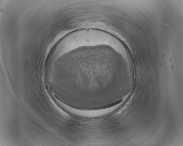 X0000075811525200610151417