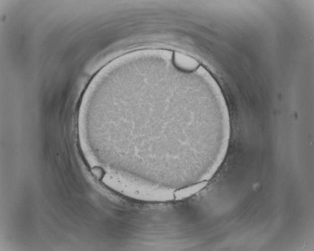 X0000075811526200610151417