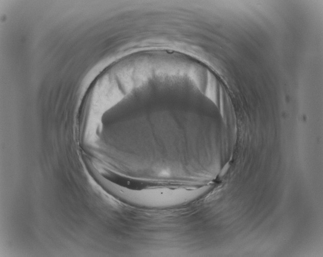 X0000075811527200610151417