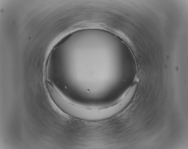 X0000075811528200610151417