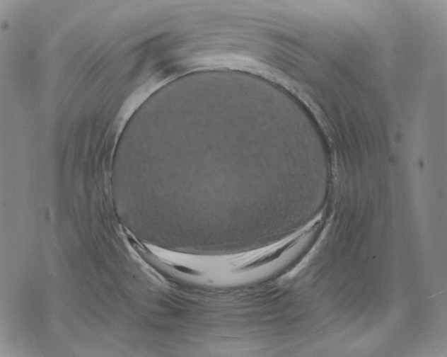 X0000075811529200610151417