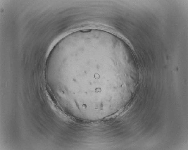 X0000075811530200610151417