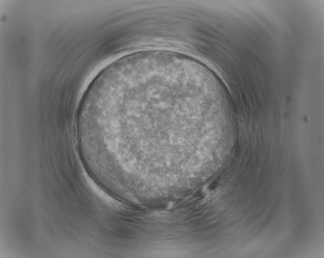 X0000075811531200610151417