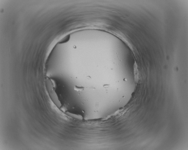 X0000075811532200610151417