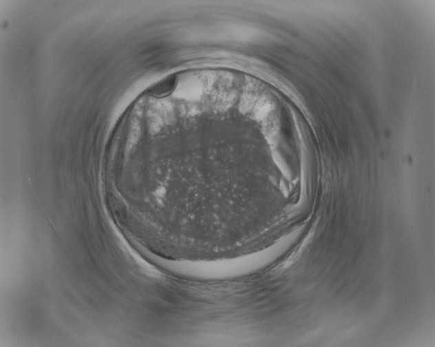 X0000075811533200610151417