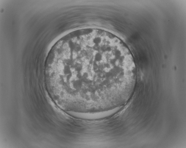 X0000075811534200610151417