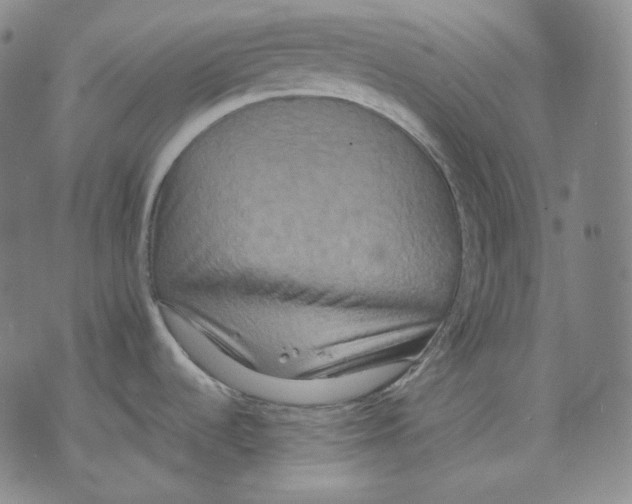 X0000075811536200610151417