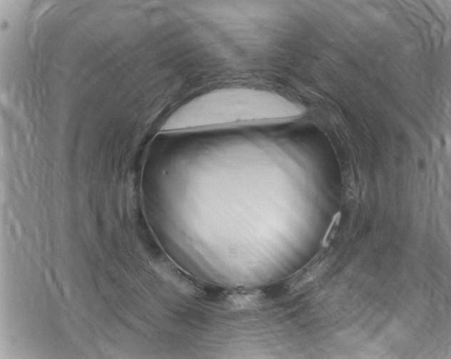 X0000075820560200609150905