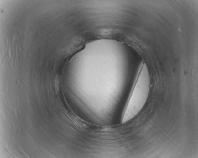 X0000075820562200609150905