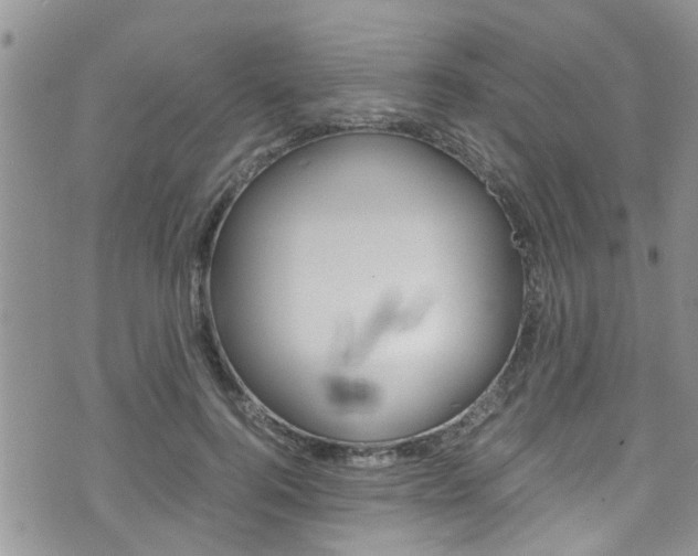 X0000075820744200609150902