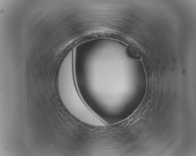 X0000075820822200609150900