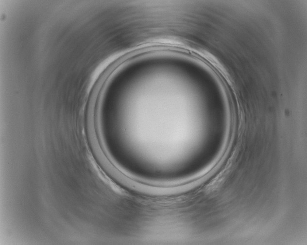 X0000075820862200609150901