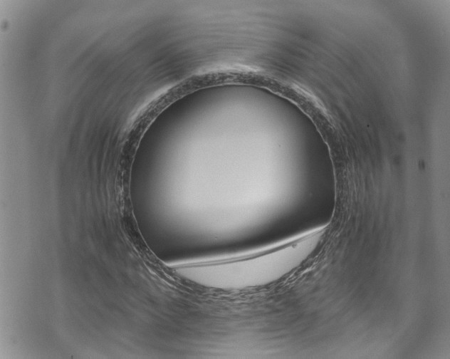 X0000075820872200609150900