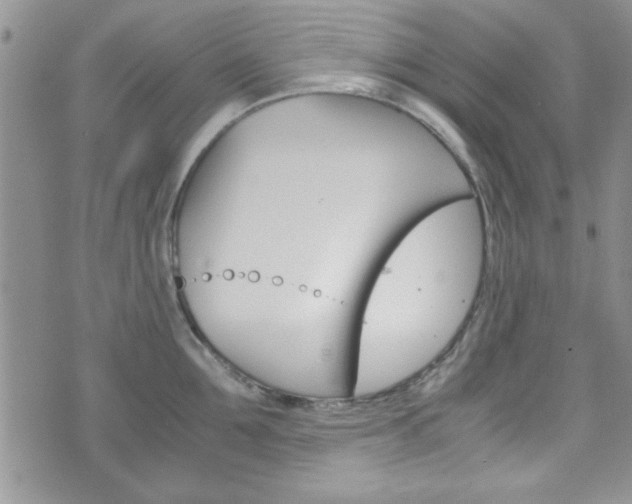 X0000075820907200609150859