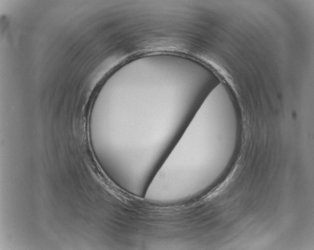 X0000075820933200609150859