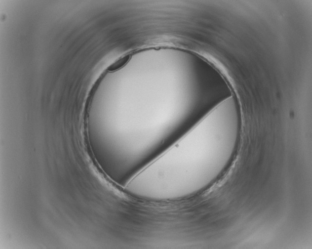 X0000075820949200609150859