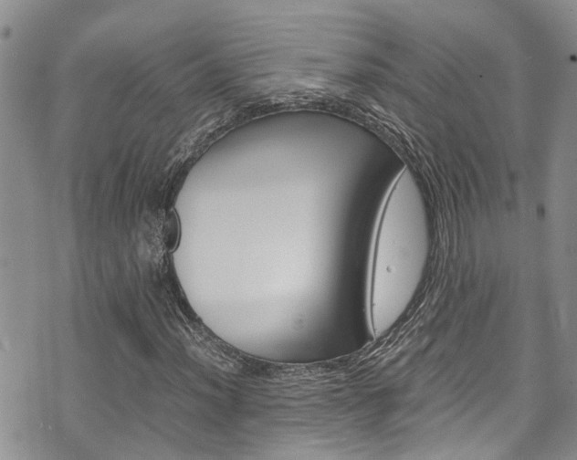 X0000075821012200609150857