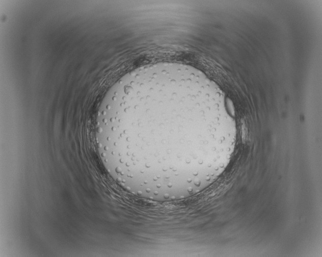 X0000075821059200609150857