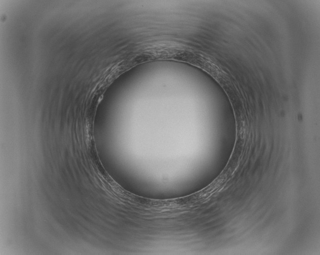 X0000075821108200609150855