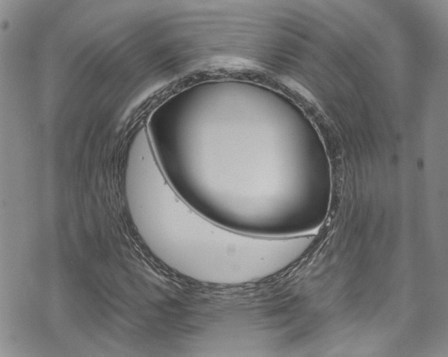 X0000075821112200609150855