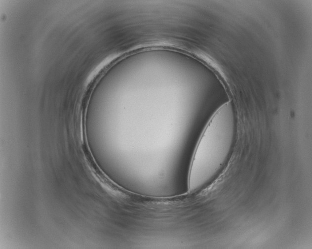 X0000075821127200609150856