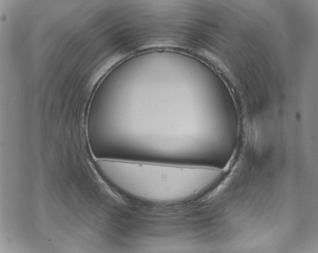 X0000075821129200609150856