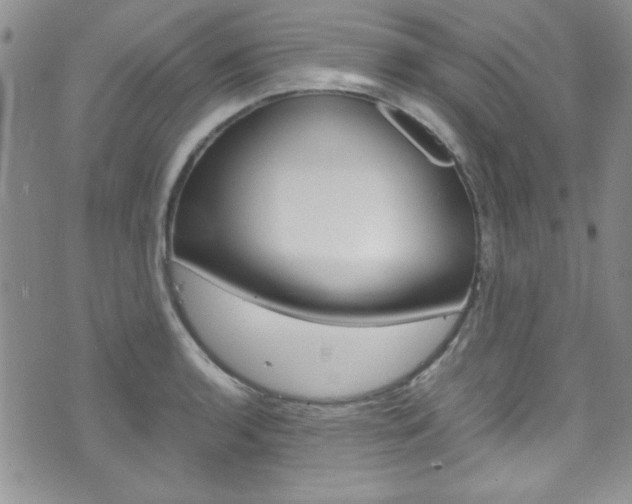 X0000075821136200609150856