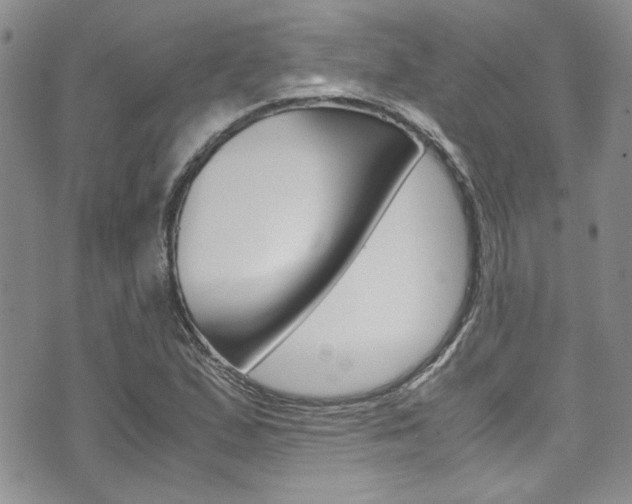 X0000075821167200609150855