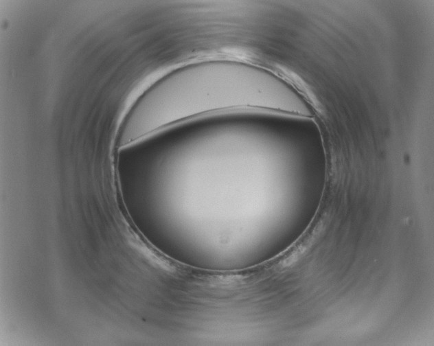 X0000075821184200609150855