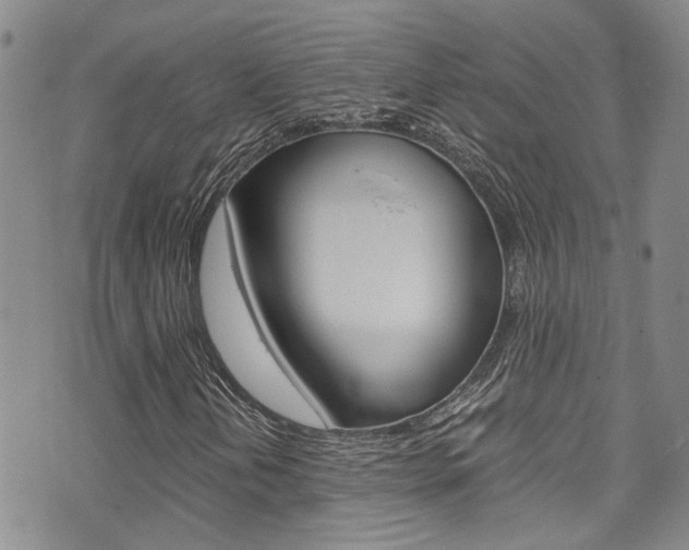 X0000075821202200609150854