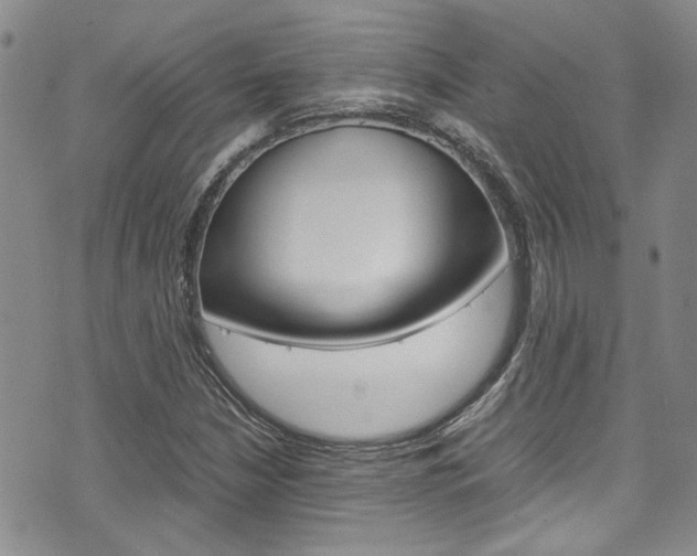 X0000075821210200609150854