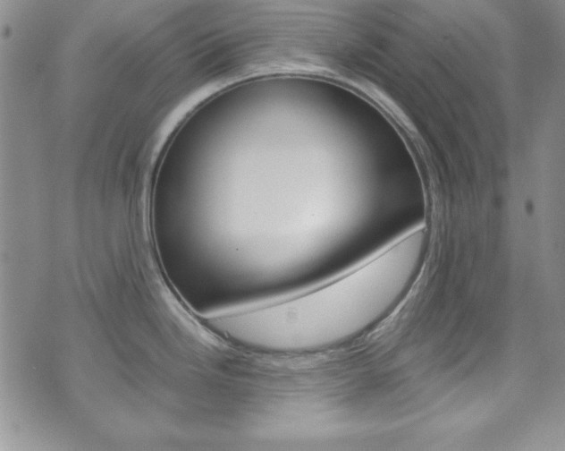 X0000075821246200609150855