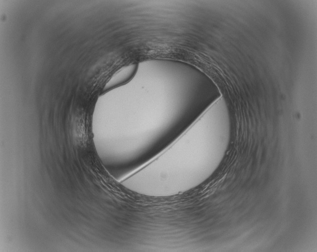 X0000075821250200609150854