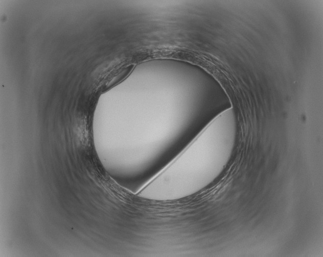 X0000075821252200609150854